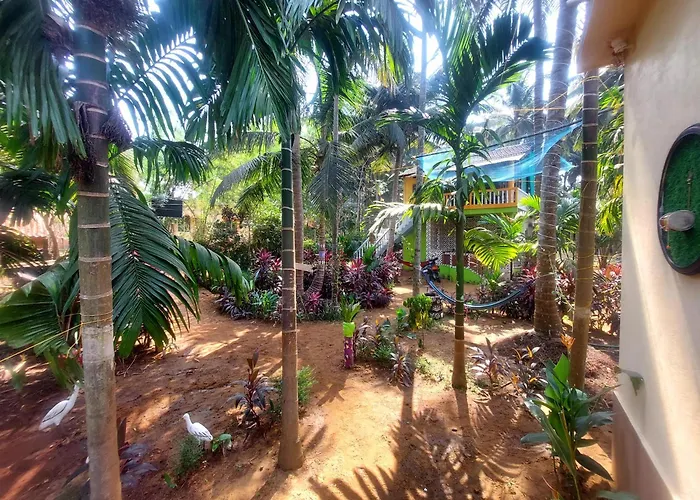 Areca Nest