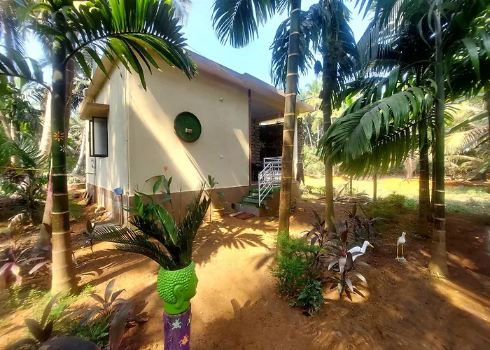 Areca Nest