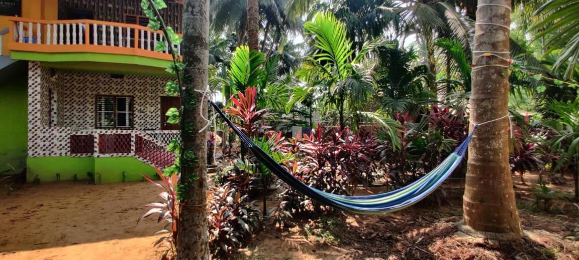 Areca Nest Farm stay *